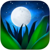 relax melodies