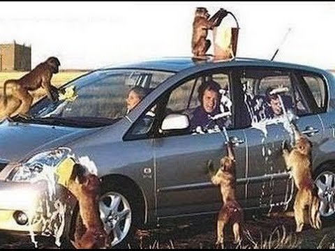 Funny Pictures Funny Car Wash