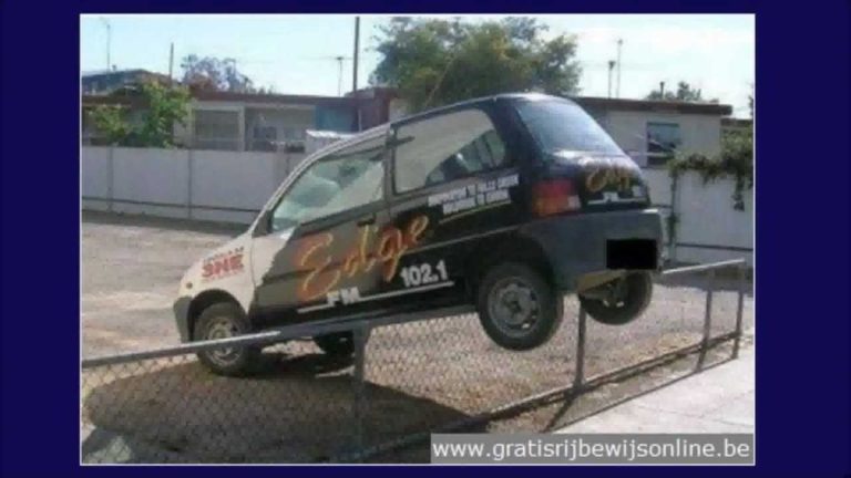 FUNNY CRAZY CAR PICTURES (3)
