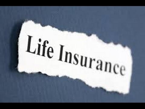 Life Insurance for Seniors Over 50 Policy Comparison