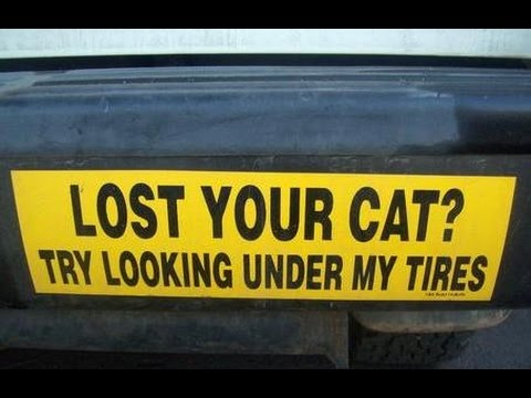 Funniest Crazy Cool Pictures of Funny Car Bumper Sticker