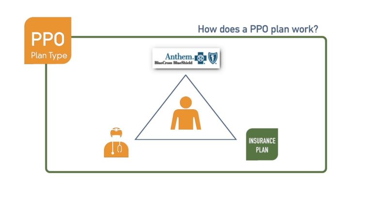 What is a PPO health insurance plan?