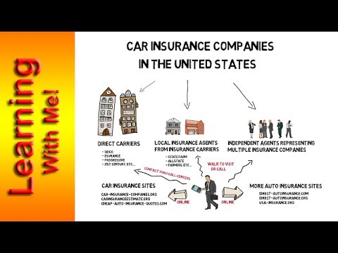 Car Insurance Companies in USA (Learning With.Me!)