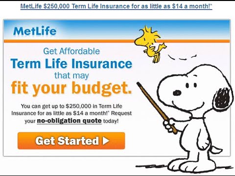Metlife Metropolitan Life Insurance Company Insurance Annuities Employee Benefit 1