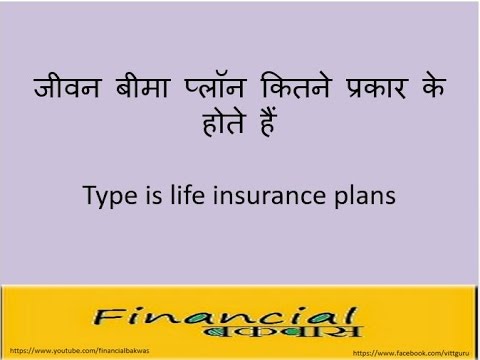 ???? ???? ????? ????? ?????? ?? ???? ???  Types of life insurance plans
