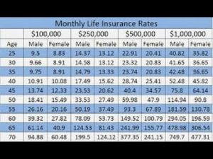 Life Insurance Estimated Cost