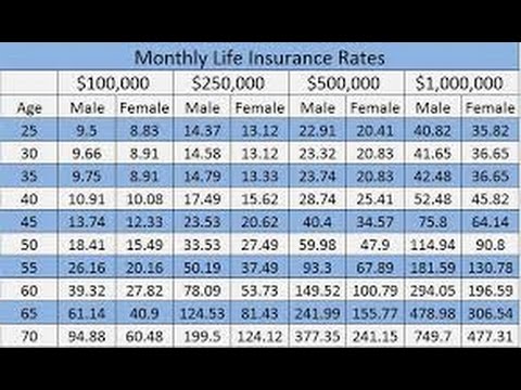 term life insurance rates - Best Insurance Info on the Web