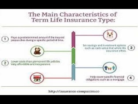 characteristics of term life insurance