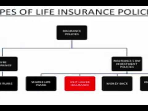 auto insurance quotes online 5