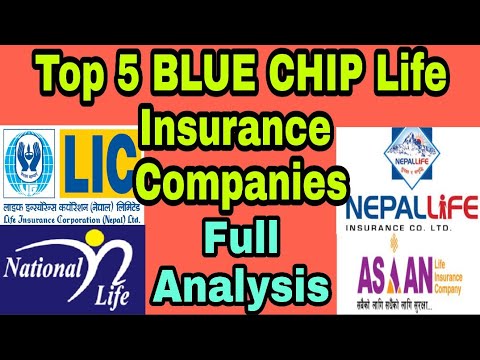 Top 5 BLUE CHIP Life Insurance  Companies || Nepal Share Market | Complete details || Full Analysis